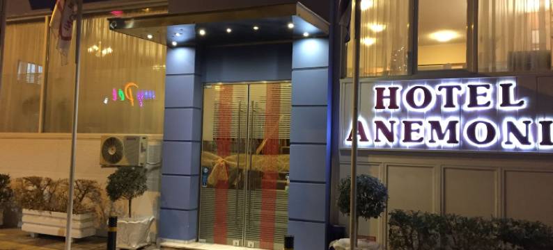 阿内莫尼酒店(Anemoni Piraeus Hotel)图片
