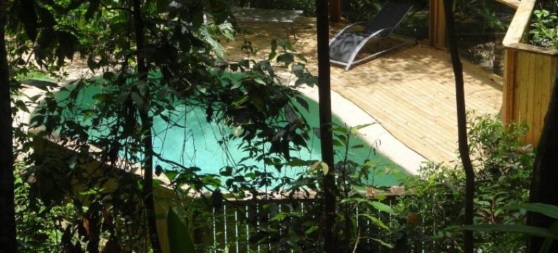 特里托普蒙特维尔度假村(Treetops Montville)图片