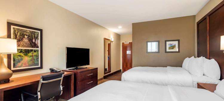 舒适套房酒店(Comfort Inn & Suites)图片