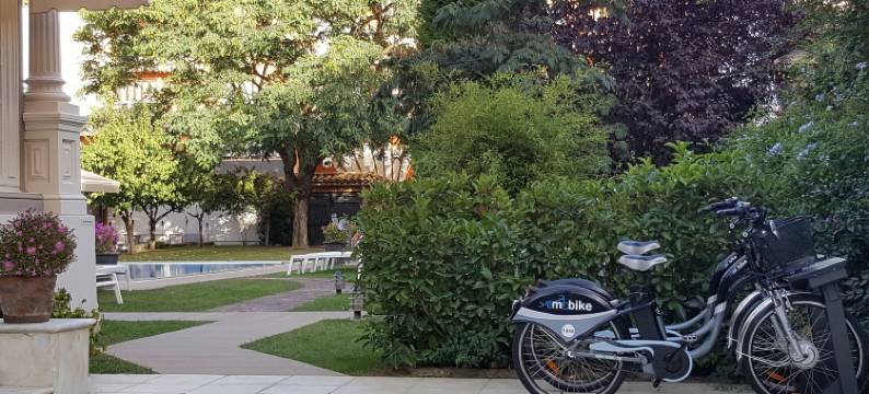 温克之家酒店(Casa Vincke Hotel)图片