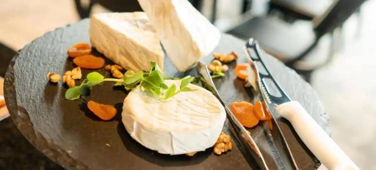 卢布林焦点高级酒店(Focus Hotel Premium Lublin)图片