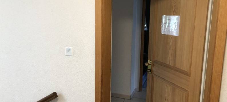 天空之家车站附近乐闻普拉茨公寓(Löwenplatz Apartment Near Station by Airhome)图片