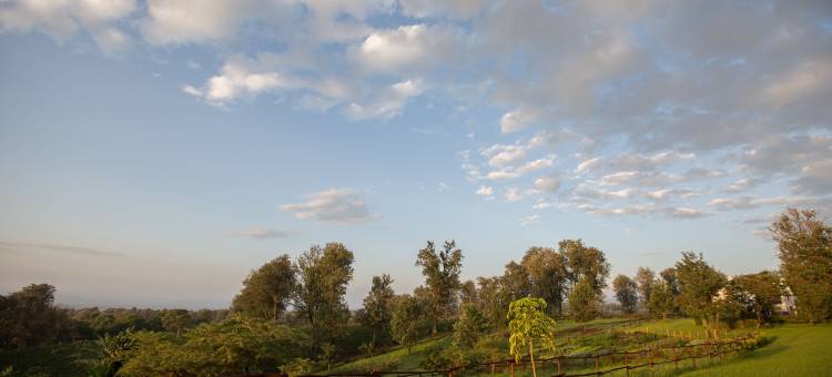 艾勒瓦纳恩戈罗恩戈罗庄园酒店(Elewana the Manor Ngorongoro)图片