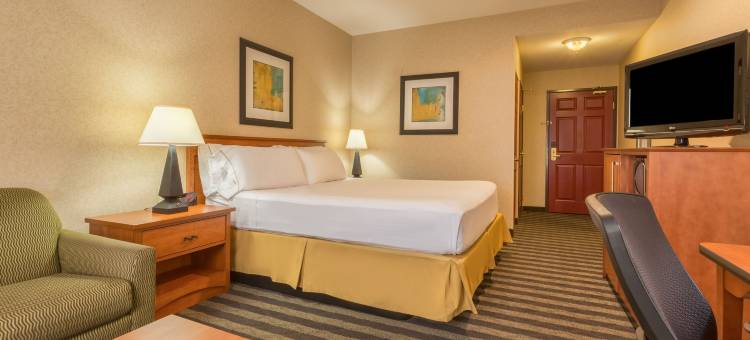 智选假日套房酒店曼特卡南 - 斯托克顿区(Holiday Inn Express & Suites MANTECA CITY CENTER by IHG)图片