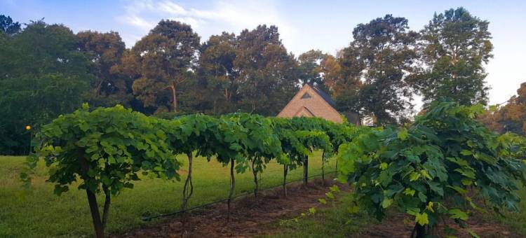 其佩尔索民宿(Kiepersol Bed and Breakfast)图片