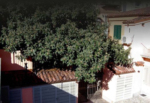 Residenza il Nespolo - Estella Hotel Collection Hotel Overview