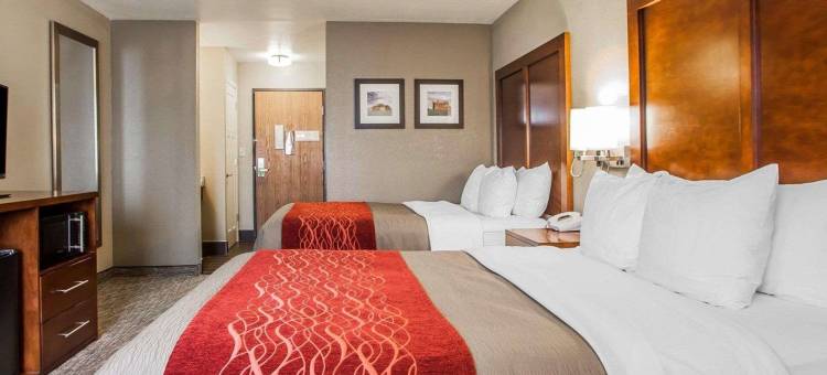 南马歇尔镇舒适酒店(Comfort Inn Marshalltown South)图片