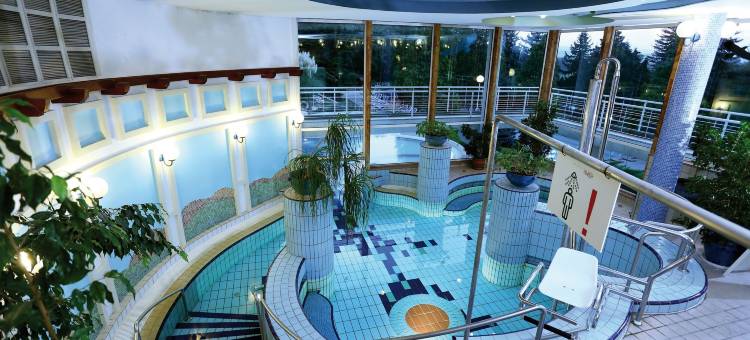 恩萨纳温泉水酒店(Ensana Thermal Aqua)图片