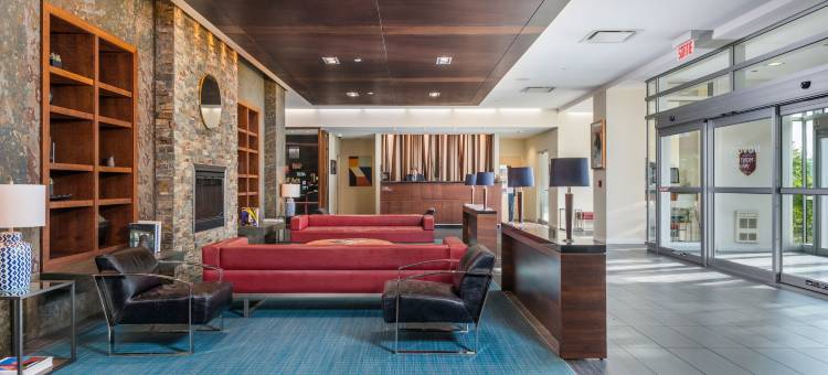蒙特利尔机场诺富特酒店(Novotel Montréal Aéroport)图片