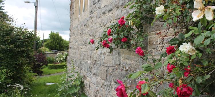 学校旅馆(The School House)图片