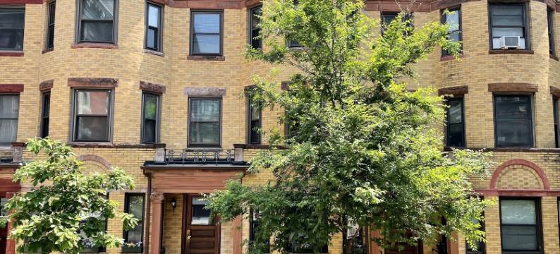 绿洲宾馆(Oasis Guest House)图片