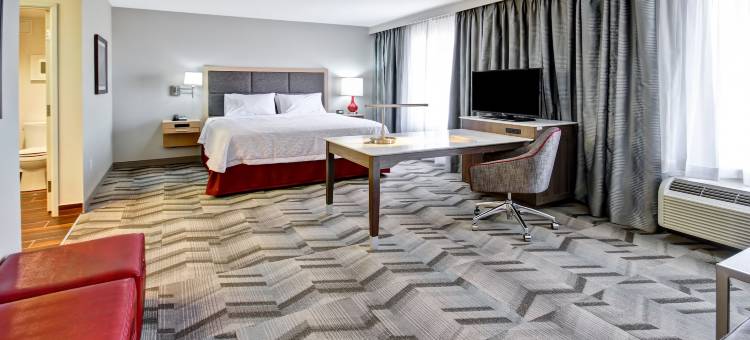 梅迪辛哈特欢朋套房酒店(Hampton Inn & Suites by Hilton Medicine Hat)图片