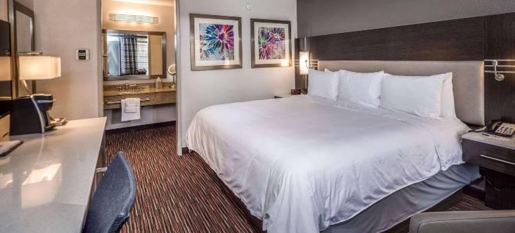奥克兰机场丽筠酒店(Radisson Hotel Oakland Airport)图片