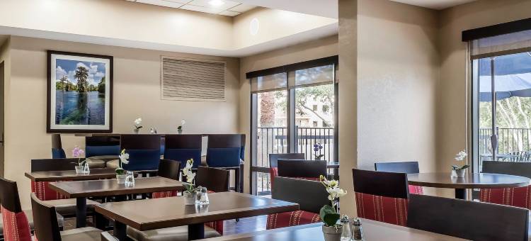 舒适套房酒店-塔拉哈西市区(Comfort Suites Tallahassee Downtown)图片