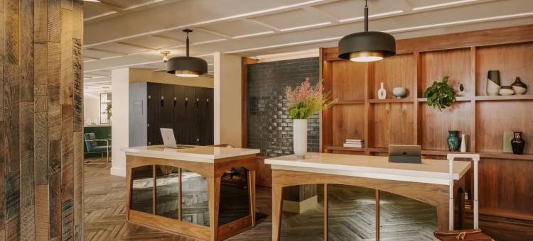 圣莫尼卡 FOUND 酒店，万豪酒店集团旗下系列(FOUND Hotel, Santa Monica, Series by Marriott)图片