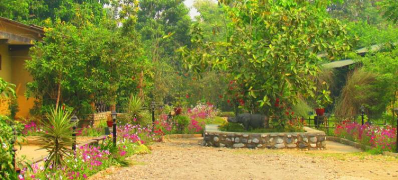 奇旺盖达旅馆(Chitwan Gaida Lodge - Animal Lovers & Birdwatchers Paradise)图片