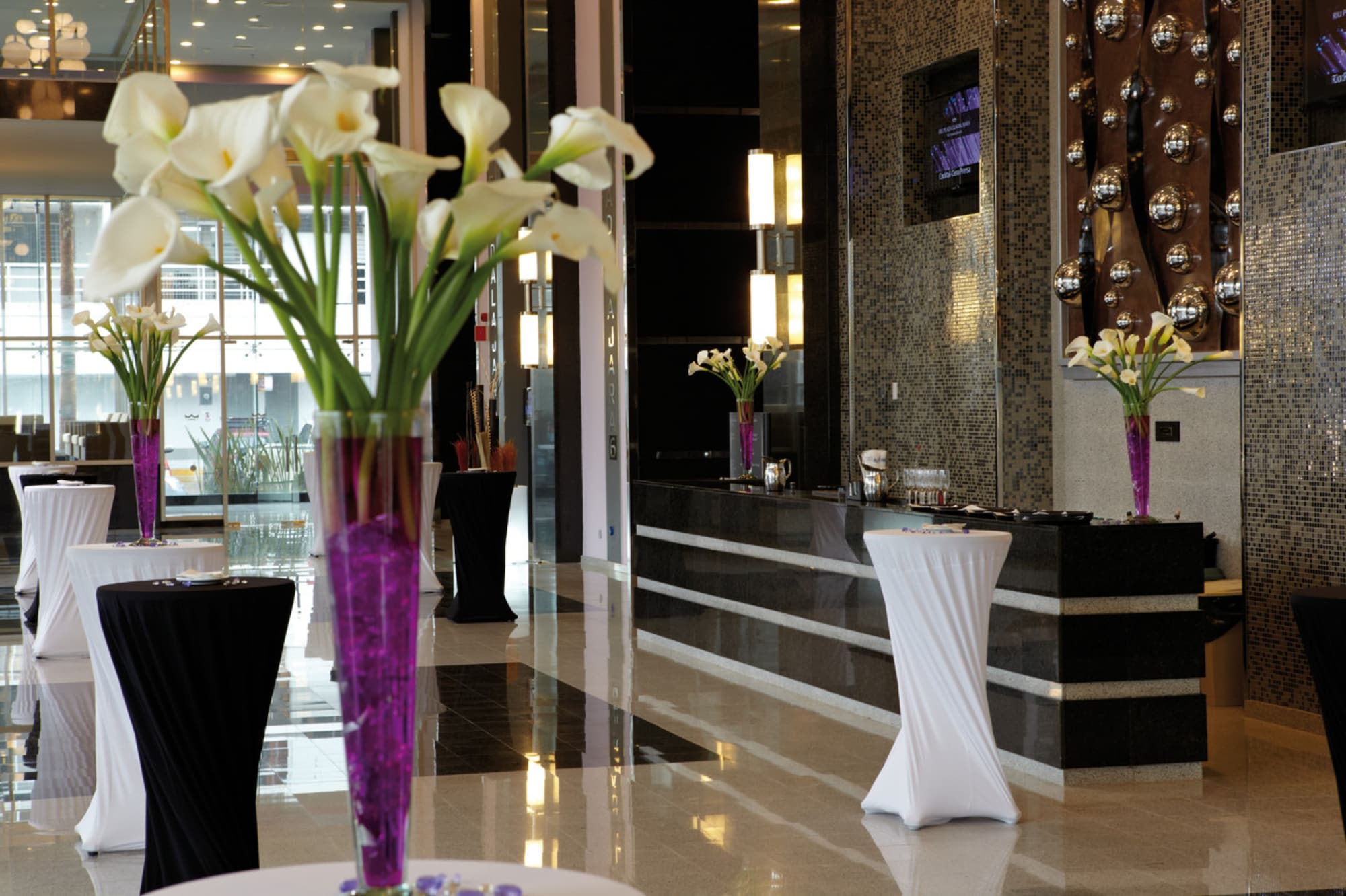 Riu Plaza GuadalajaraOver view