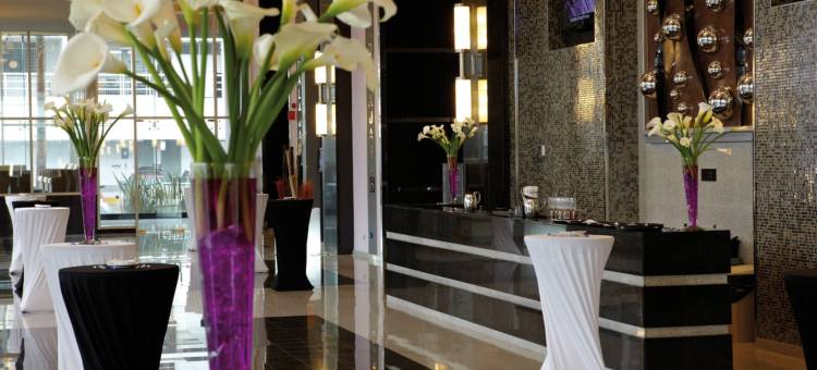 瓜达拉哈拉广场悦宜湾酒店(Riu Plaza Guadalajara)图片