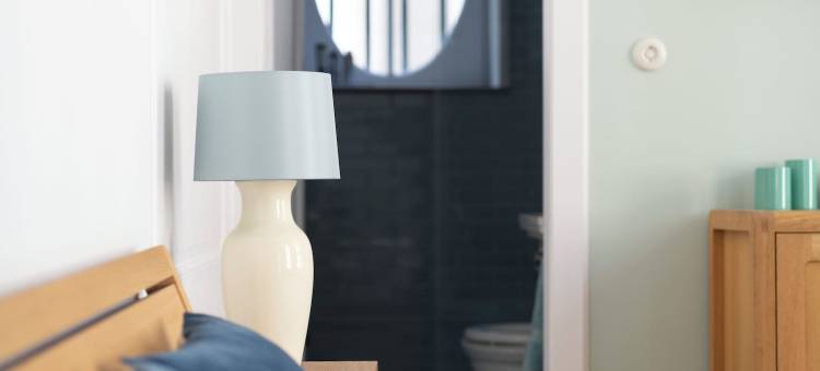 博洛涅弗勒梅尔(The Stay Well)图片