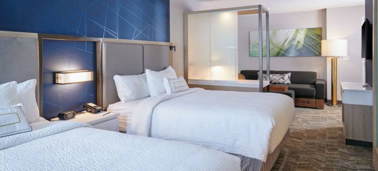 底特律威克森万豪SpringHill Suites酒店(SpringHill Suites by Marriott Wixom Novi)图片