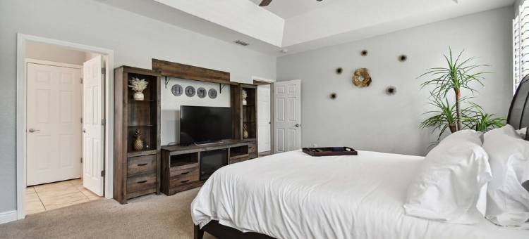 Tampa "Good Times" Home+GameRoom, Sleeps 12, 4br/3.5bth, Great Location/Backyard图片