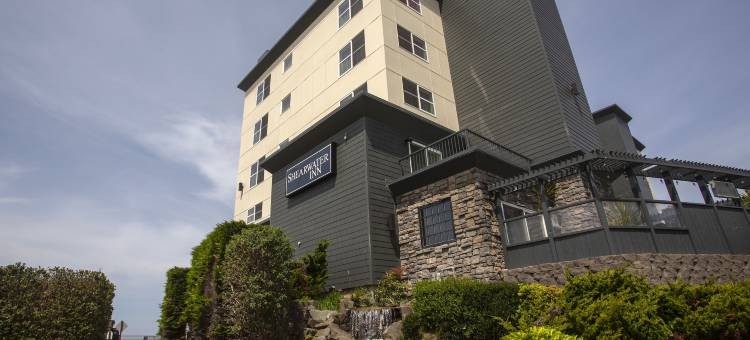 海鸥旅馆(Shearwater Inn)图片