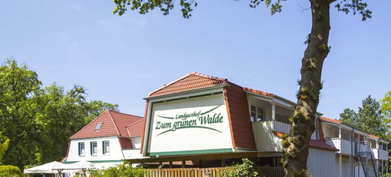 瓦尔德苏姆格鲁尼恩酒店(Landgasthof "Zum grünen Walde")图片