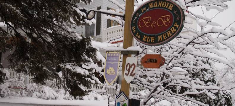 曼诺儿德拉鲁魅力酒店(Au Manoir de la rue Merry)图片