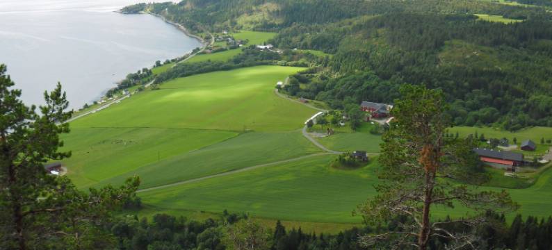 辛德姆富荷山特酒店(Hindrum Fjordsenter)图片