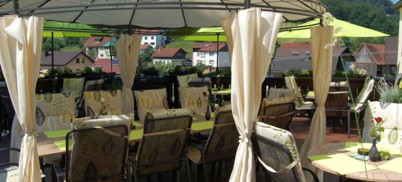 格鲁纳鲍姆乡村酒店(Hotel Grüner Baum Mit Restaurant & Wellness)图片