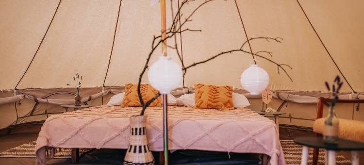 Černická obora豪华露营(Glamping Černická Obora)图片