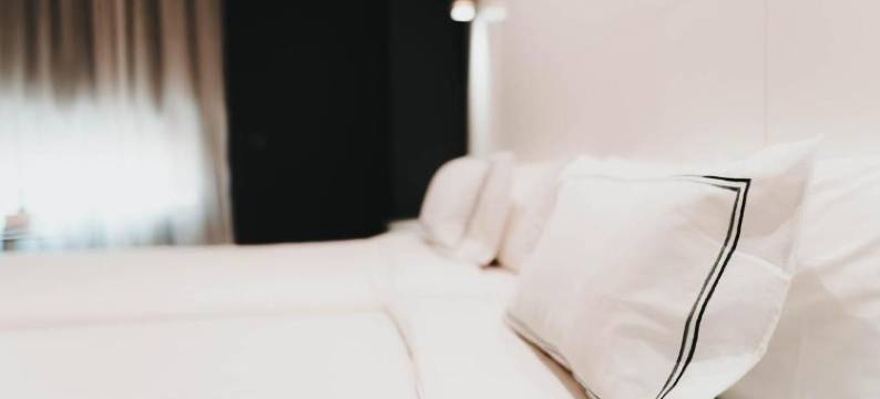 马拉加诺斯特鲁姆机场住宿(Hotel Málaga Nostrum Airport)图片