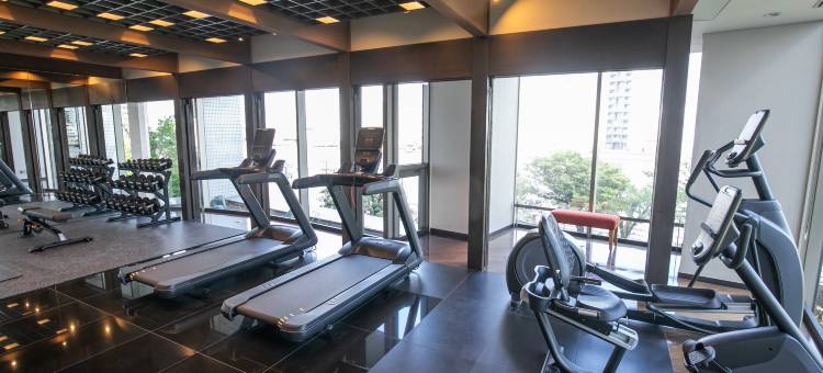 东京湾ANA假日酒店(ANA Holiday Inn Tokyo Bay)图片