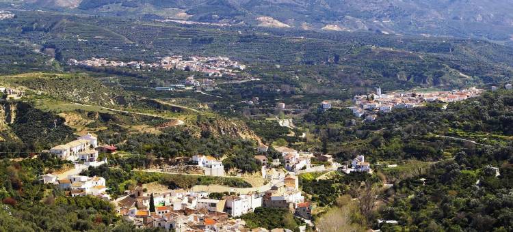 纳兰霍斯农村公寓青年旅舍(Hostal y Apartamento Rural Los Naranjos)图片