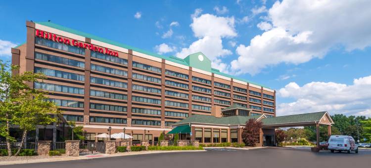 底特律南园市希尔顿花园酒店(Hilton Garden Inn Detroit-Southfield)图片