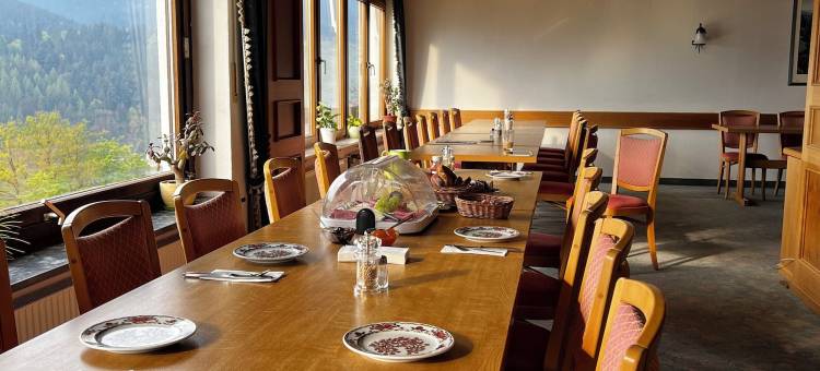 绍因斯兰酒店(Hotel Schauinsland)图片