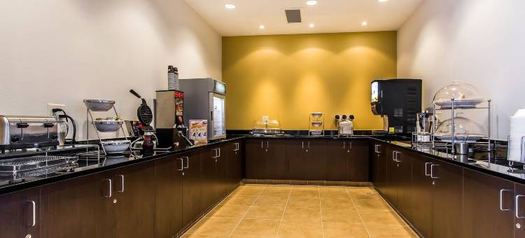 舒适套房酒店(Comfort Suites Leesville Near Fort Johnson)图片