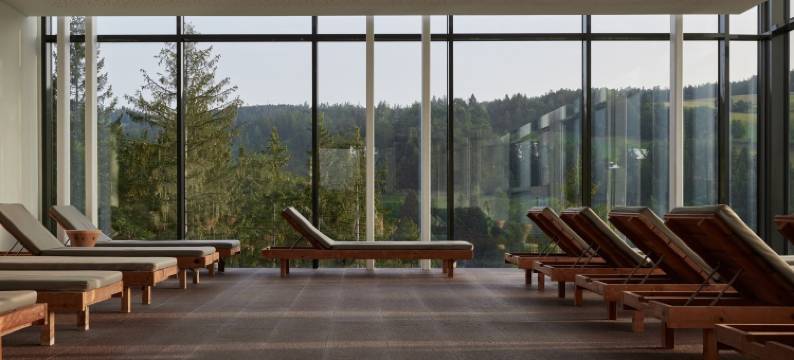 萨尔图斯酒店(Hotel Saltus)图片