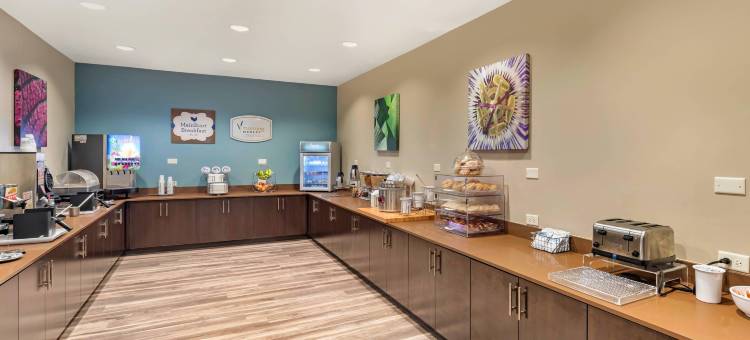 达拉斯南兰开斯特舒眠酒店(Sleep Inn Lancaster Dallas South)图片