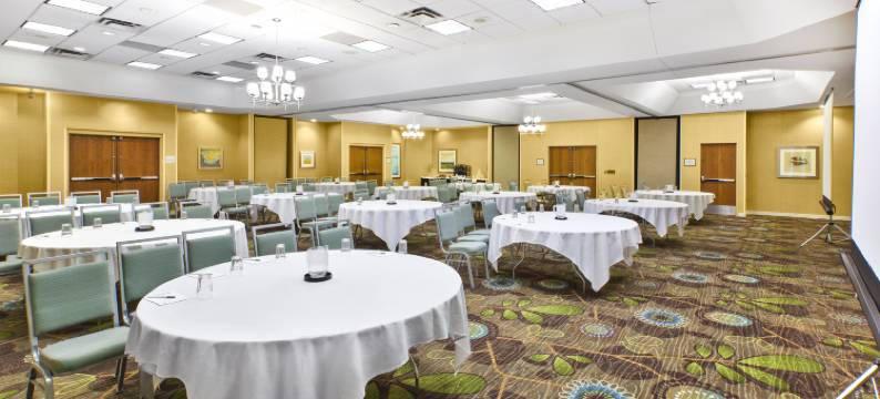 洲际酒店集团博林布鲁克假日酒店及套房(Holiday Inn & Suites BOLINGBROOK by IHG)图片