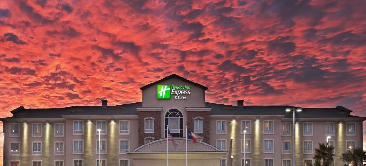 智选假日套房酒店埃尔帕索(Holiday Inn Express & Suites El Paso West)图片