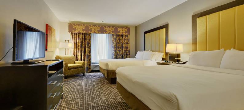 智选假日套房酒店冈萨雷斯(Holiday Inn Express & Suites GONZALES by IHG)图片