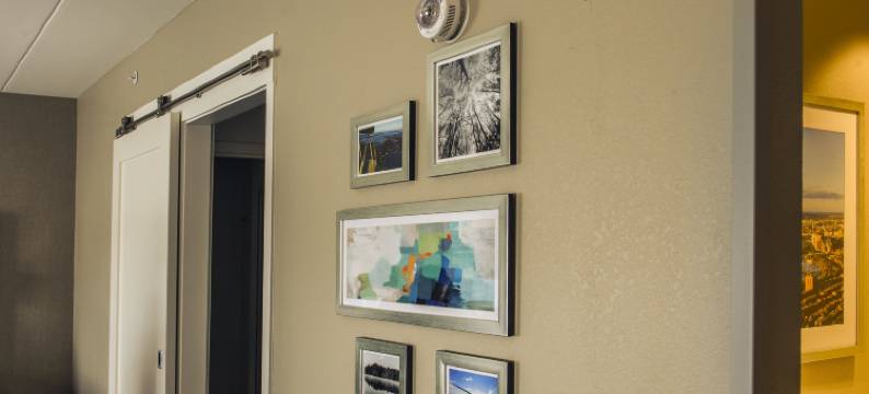 福克斯伯勒曼斯菲尔德欢朋套房酒店(Hampton Inn & Suites Foxborough -Mansfield)图片