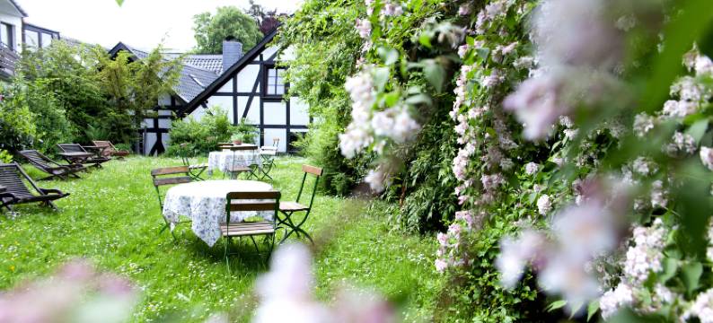 Romantik Hotel Alte Vogtei图片