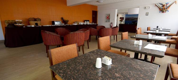 蒂拉维瓦普诺广场酒店(Tierra Viva Puno Plaza)图片