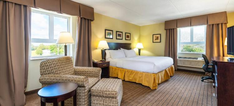 的舒适酒店和套房(Comfort Inn & Suites)图片