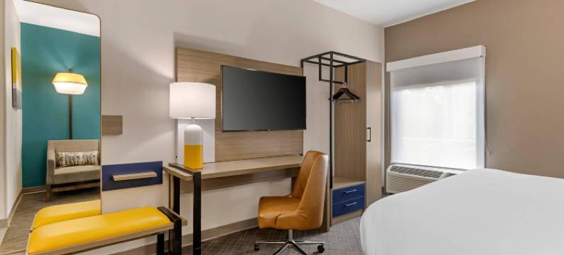 克莱门森舒适套房酒店-大学区(Comfort Inn & Suites Clemson - University Area)图片