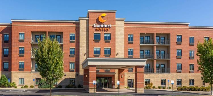 辛辛那提南部弗洛伦斯舒适套房酒店(Comfort Suites Florence - Cincinnati South)图片