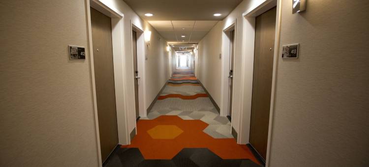 辛辛那提-布鲁艾施欢朋酒店(Hampton Inn Blue Ash Cincinnati)图片