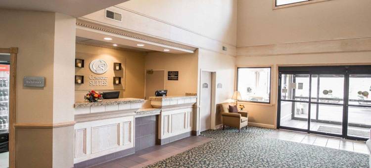 南本德圣母院大学区舒适套房酒店(Comfort Suites University Area Notre Dame-South Bend)图片